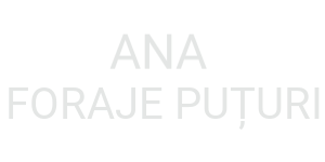 Ana Foraje Puturi